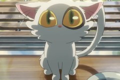 新海诚《すずめの戸締まり/铃芽户缔》公布预告片