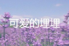 虎牙二次元声控助眠主播可爱的埋埋人气为什么这么高？