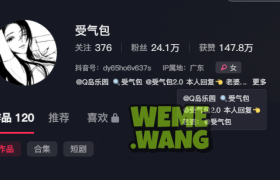 受气包接单趣岛秘语之旅，大众心目中的“完美女神”