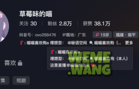 草莓味的喵秘语空间资源揭秘，口罩背后的神秘与魅力