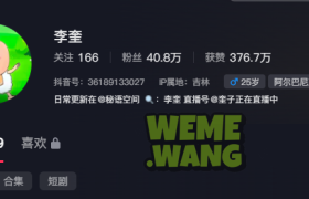 李奎秘语空间内容，精致的外貌与独特的穿搭