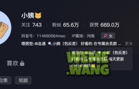 小姨瑜伽裤的魅力，瑜伽穿搭界的清新风尚