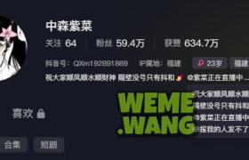 抖音红人中森紫菜：在光影流转间绽放的时尚魅力