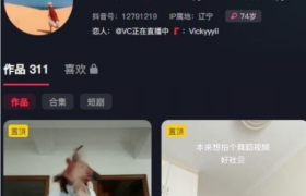 Vickyyyii个人简介，岛遇写真资源图片时尚感爆棚