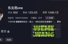 东北范one多样化的穿搭分享，精致外貌的标准美女