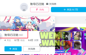 樱桃老师：B站的流星，以及她留下的回响！