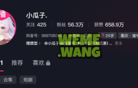 重庆甜辣女神小瓜子：反差美学缔造者，多平台绽放的视觉盛宴