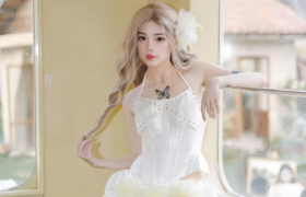 六六狮个人简介，最新岛遇作品介绍