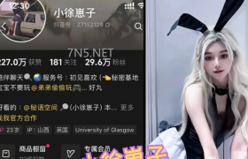 抖音小徐崽子秘语空间作品介绍，捕捉情感交流的细腻瞬间