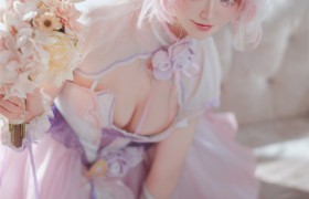 前野太太以爱莉希雅之名，演绎《崩坏三》的流光幻梦