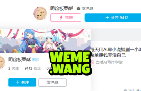 阴险板栗酥提督图集分享，B站的“肉感”新势力！