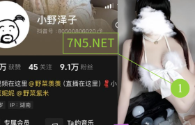 抖音小野泽子个人介绍，浅蓝色女警制服精美制图