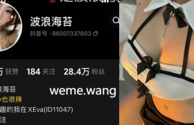 抖音波浪海苔个人简介，白色抹胸上衣精美图集公开